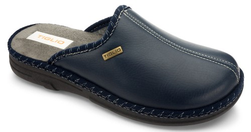 Tiglio 3832 blu - tiglio,